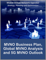 Mobile Virtual Network Operator Strategy, Planning and Optimization