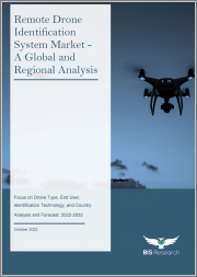 Remote Drone Identification System Market - A Global and Regional Analysis: Focus on Drone Type, End User, Identification Technology, and Country - Analysis and Forecast, 2022-2032