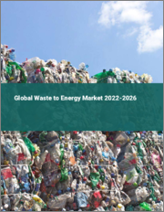 Global Waste to Energy Market 2022-2026