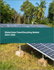 Global Solar Panel Recycling Market 2022-2026
