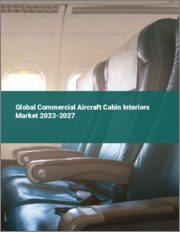 Global Commercial Aircraft Cabin Interiors Market 2023-2027