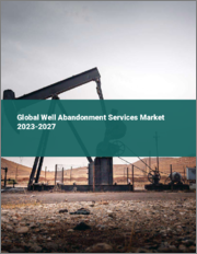 Global Well Abandonment Services Market 2023-2027