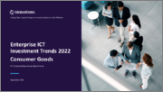 Consumer Goods Enterprises ICT Investment Trends and Future Outlook by Segments Hardware, Software, IT Services and Network and Communications