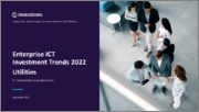 Utilities Sector Enterprises ICT Investment Trends and Future Outlook by Segments Hardware, Software, IT Services and Network and Communications