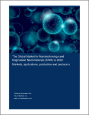 The Global Market for Nanotechnology and Engineered Nanomaterials to 2033