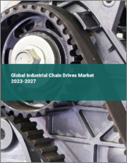 Global Industrial Chain Drives Market 2022-2026