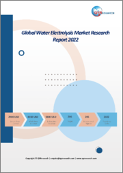 Global Water Electrolysis Market Research Report 2022