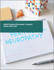 Global Peripheral Neuropathy Treatment Market 2023-2027