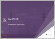 Smart Grid: Key Opportunities, Challenges & Market Forecasts 2022-2027