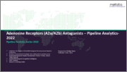Adenosine Receptors (A2a/A2b) Antagonists-Pipeline Analytics 2022