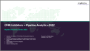 Prostaglandin E2 Receptor 4 (EP4R) Inhibitors-Pipeline Analytics 2022