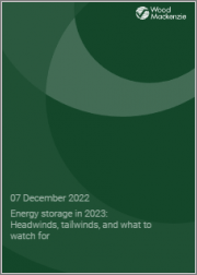 Energy Storage in 2023: Headwinds, Tailwinds, and What To Watch For