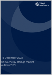 China Energy Storage Market Outlook 2022