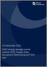 APeC Energy Storage Market Outlook 2022: Supply Chain Disruptions Flattened Growth This Year