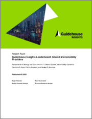Guidehouse Insights Leaderboard Report - Shared Micromobility Providers: Assessment of Strategy and Execution for 13 Shared Electric Micromobility Operators Providing E-bikes, E-Kick Scooters, and Seated E-Scooters