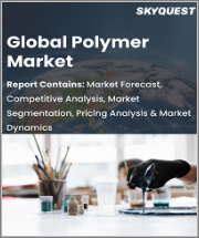 Global Polymer Market, By Type, By Base Material, By Application, By Products, & By Region-Forecast Analysis 2022-2028