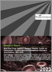Non-Viral / Intracellular Drug Delivery Systems Market by Type of Molecule, Type of Biologics delivered, Type of Vehicle Used, Type of Therapeutic Area, Type of Payments and Key Geographies : Industry Trends and Global Forecasts, 2023-2035