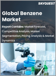 Global Benzene Market, By Derivatives, By Application, and Region - Forecast Analysis 2022-2028