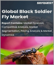 Global Black Soldier Fly Market, By Product, By Application, and Region - Forecast Analysis 2022-2028