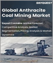 Global Anthracite Coal Mining Market By grade, By mine & By region-Forecast Analysis 2022-2028