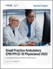 Small Practice Ambulatory EHR/PM 2022