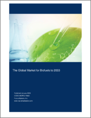 The Global Market for Biofuels to 2033
