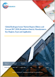 Global Hydrogen Sensor Market Report, History and Forecast 2017-2028