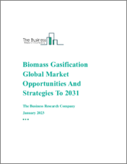 Biomass Gasification Global Market Opportunities And Strategies To 2031