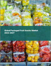 Global Packaged Fruit Snacks Market 2023-2027