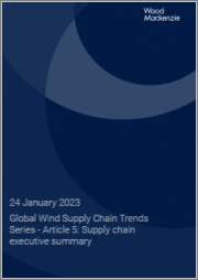 Global Wind Supply Chain Trends Series - Article 5: Supply Chain Executive Summary