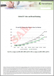 Global EV Sales and Brand Ranking
