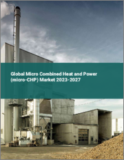 Global Micro Combined Heat and Power (micro-CHP) Market 2023-2027