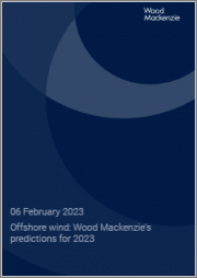 Offshore Wind: Wood Mackenzie's Predictions for 2023