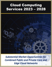 Cloud Computing Services, Platforms Infrastructure and Everything as a Service 2023 - 2028