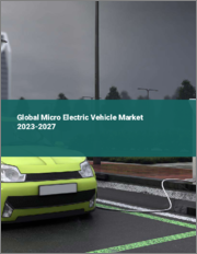 Global Micro Electric Vehicle Market 2023-2027