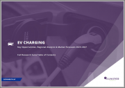EV Charging: Key Opportunities, Regional Analysis & Market Forecasts 2023-2027