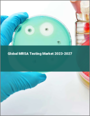 Global MRSA Testing Market 2023-2027