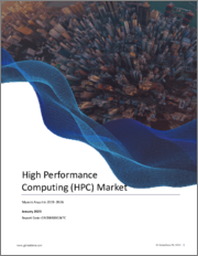 High Performance Computing (HPC) Market Size, Share and Trend Analysis by Region, Component (Server, Storage, Network, Software, Services, Cloud), Deployment, Application and Segment Forecast, 2022-2026