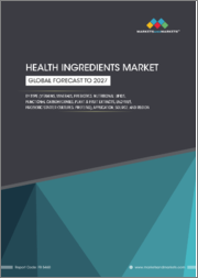 Health Ingredients Market by Type (Vitamins, Minerals, Probiotics starter culture, Prebiotics, Nutritional Lipids, Functional Carbohydrates, Plant and Fruit Extracts, Enzymes, Proteins), Application, Source, Function and Region - Global Forecast to 2027