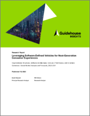 Leveraging Software-Defined Vehicles for Next-Generation Consumer Experiences: Organizational Structures, Software Architectures, Cars as a Third Space, and In-Vehicle Commerce, Global Market Analysis and Forecasts 2022-2031