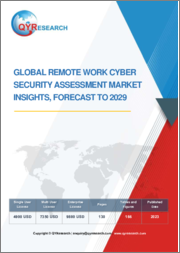 Global Remote Work Cyber Security Assessment Market Insights, Forecast to 2029