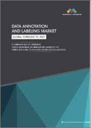 Data Annotation and Labeling Market Component, Data Type, Application (Dataset Management, Sentiment Analysis), Annotation Type, Vertical (BFSI, IT and ITES, Healthcare and Life Sciences) and Region - Global Forecast to 2027