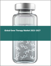 Global Gene Therapy Market 2023-2027