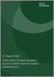 PJM's 2024/25 Base Residual Auction Results: Has the Market Bottomed Out?