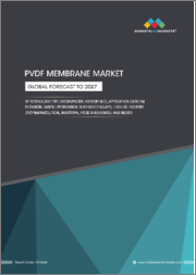 PVDF Membrane Market by Technology, Type (Hydrophobic, Hydrophilic), Application (General Filtration, Sample Preparation, Bead ? Based Assays), End-Use Industry (Biopharmaceutical, Industrial, Food & Beverage), and Region - Global Forecast to 2027