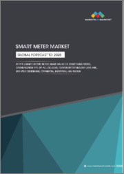 Smart Meter Market by Type (Electric Gas, and Water), Component, Technology (AMI & AMR), Communication (RF, PLC, and Cellular), End-user (Residential, Commercial, Industrial) and Region - Global Forecast to 2028