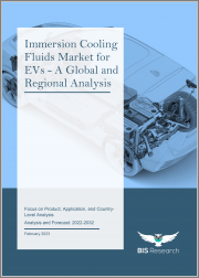 Immersion Cooling Fluids Market for EVs - A Global and Regional Analysis- Focus on Product, Application, and Country-Level Analysis - Analysis and Forecast, 2022-2032