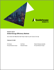 Global Energy Efficiency Markets
