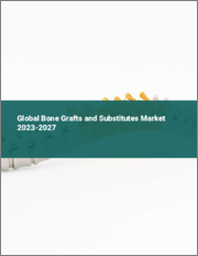 Global Bone Grafts and Substitutes Market 2023-2027