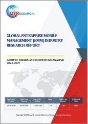 Global Enterprise Mobile Management (EMM) Industry Research Report Growth Trends and Competitive Analysis 2023-2029